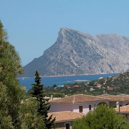 بيت للعطل Agrifoglio *