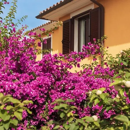 Agrifoglio Casa vacanze Monte Petrosu