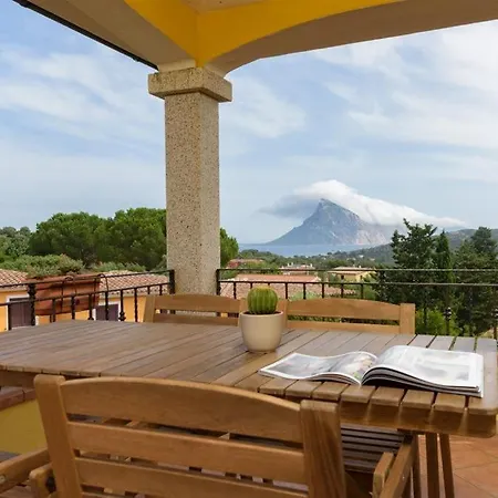 بيت للعطل Agrifoglio