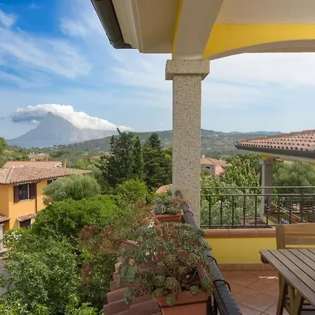 Agrifoglio Casa vacanze Monte Petrosu
